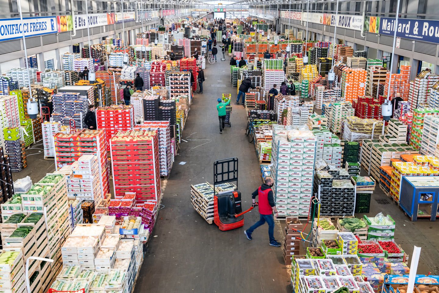 Visiter le Marché de Rungis conditions et démarches